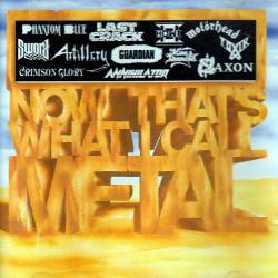 Compilations : Now That's What I Call Metal